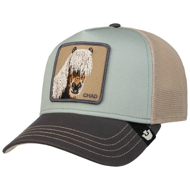 Casquette Cheval Horse Friends, Taille Sang Chaud, Couleur Lime – Neuve