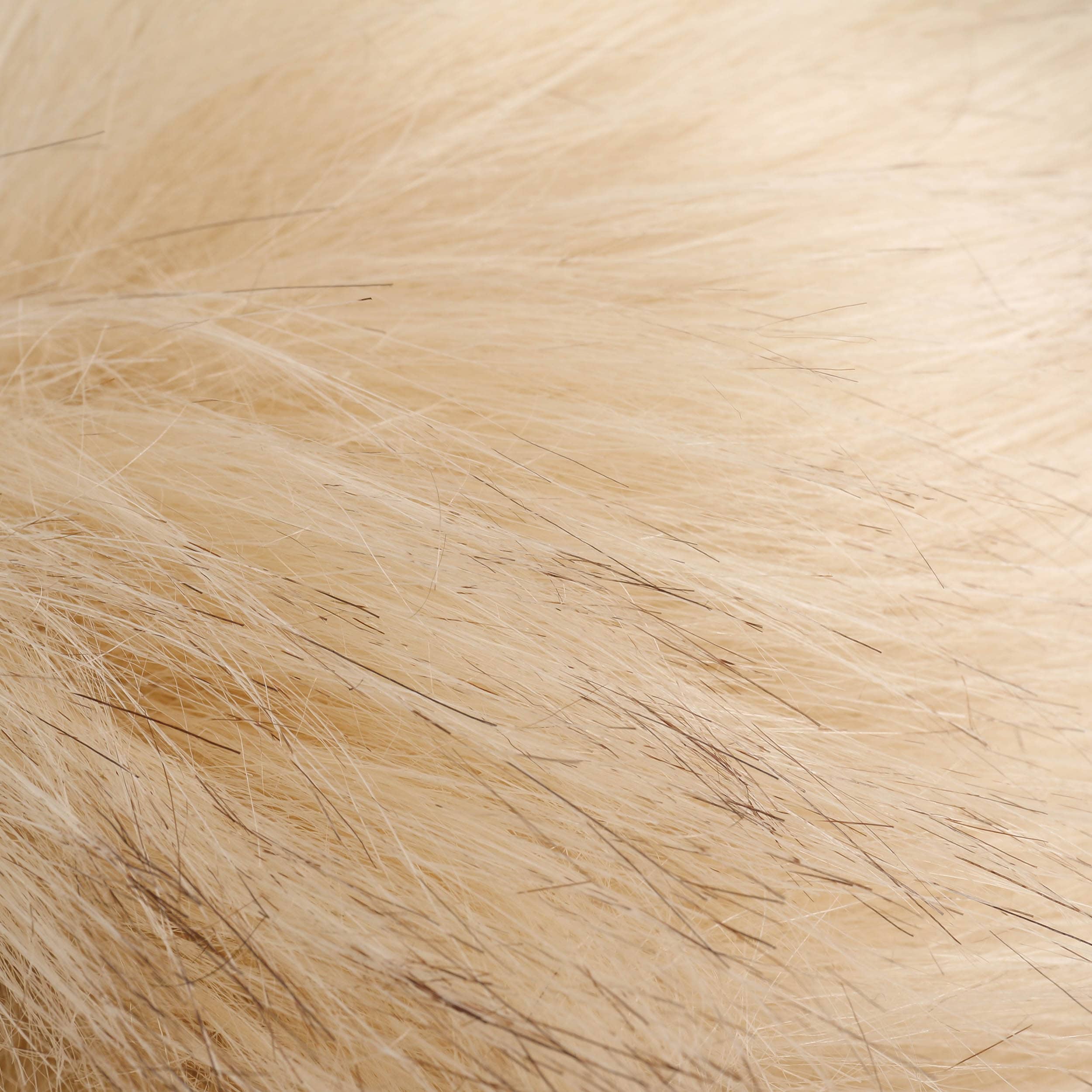 Bonnet En Laine Foulée Tamisa By Seeberger Noir One Size Damen