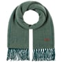 Écharpe Soho Herringbone Business by Barts vert