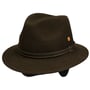 Chapeau en Laine Dale Trekking by Mayser marron