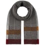 Écharpe pour Homme Tricolour by Lipodo anthracite