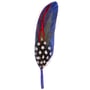 Plume de Chapeau by Stetson bleu-rouge