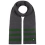 Écharpe en Tricot Stripes by Hammaburg vert