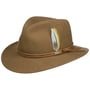 Chapeau en Laine Drexel VitaFelt by Stetson beige foncé