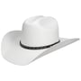 Chapeau en Paille Vanlesco Western Toyo by Stetson blanc