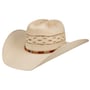 Chapeau Western Spradely by Bailey 1922 nature