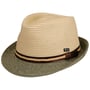 Chapeau en Paille Montenovo Trilby by Lipodo beige-vert