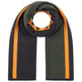 Écharpe en Laine Merino Stripes by Stetson anthracite-vert