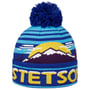 Bonnet Beanie Snowy Mountains Freestyle by Stetson bleu-jaune
