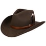 Chapeau en Laine Limington Western by Stetson marron foncé