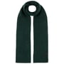 Écharpe en Tricot Banxs by Barts vert foncé