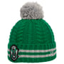 Bonnet Kids Harry Potter Slytherin by New Era vert