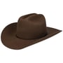 Chapeau Western Diamondville by Stetson marron