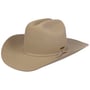 Chapeau Western Diamondville by Stetson beige