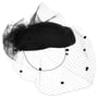 Chapeau de Fête Dovania Pillbox by Lierys noir