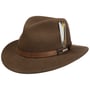 Chapeau Sardis VitaFelt by Stetson châtain