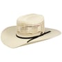 Chapeau Western Desert Breeze by Bailey 1922 nature