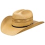 Chapeau Western Costa by Bailey 1922 beige