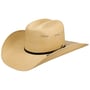 Chapeau Western Taconic by Bailey 1922 nature