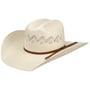 Chapeau Western Indio 15X by Bailey 1922 nature
