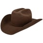 Chapeau Western Lightning 4X Wool by Bailey 1922 marron