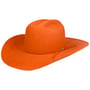 Chapeau Western Payson 2X Wool by Bailey 1922 terre cuite