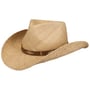 Chapeau de Raphia Chestercole Western by Stetson nature