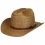 Chapeau Western Palm Braid by Stetson châtain
