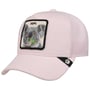 Casquette Terry Cloth Koala by Goorin Bros. rose