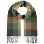 Écharpe en Laine John Hanly Check by Lierys vert
