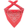 Bandana Classique by Lipodo corail
