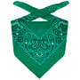 Bandana Classique by Lipodo vert foncé