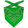 Bandana Classique by Lipodo vert