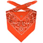 Bandana Classique by Lipodo orange