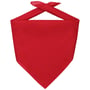 Bandana Goal rouge