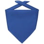Bandana Goal royalbleu
